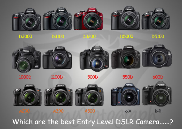 Tipe kamera-kamera entry level (sumber. google)